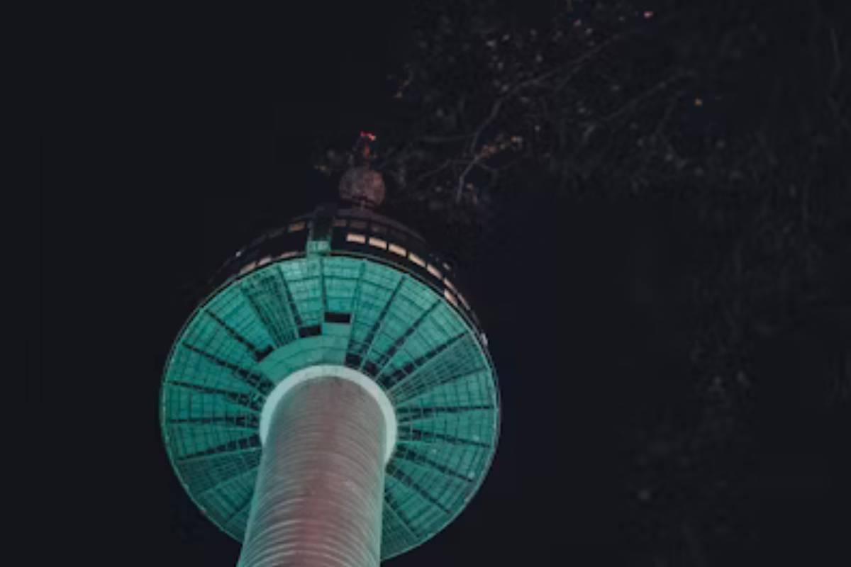 출처: Unsplash
