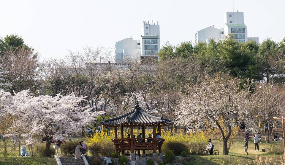 2026 Seongnam Park Concert, held in March… Shin Seung-hun &amp; Park Jung-hyun free performance