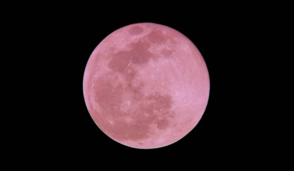 [Today’s Discovery] The “Strawberry Moon,” said to bring love, rises on the night of the 29th! Don’t miss this once-a-year opportunity.