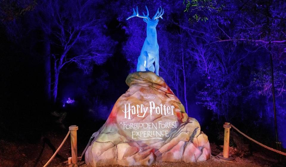 [Jeju Hot Spot] Finally Arriving in Korea! The magical world of Harry Potter™, which has captivated the world, opens in Jeju