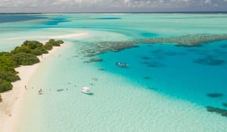A Resort In The Maldives Is In Need Of A ‘Barefoot Bookseller’ To Run Their Bookshop
