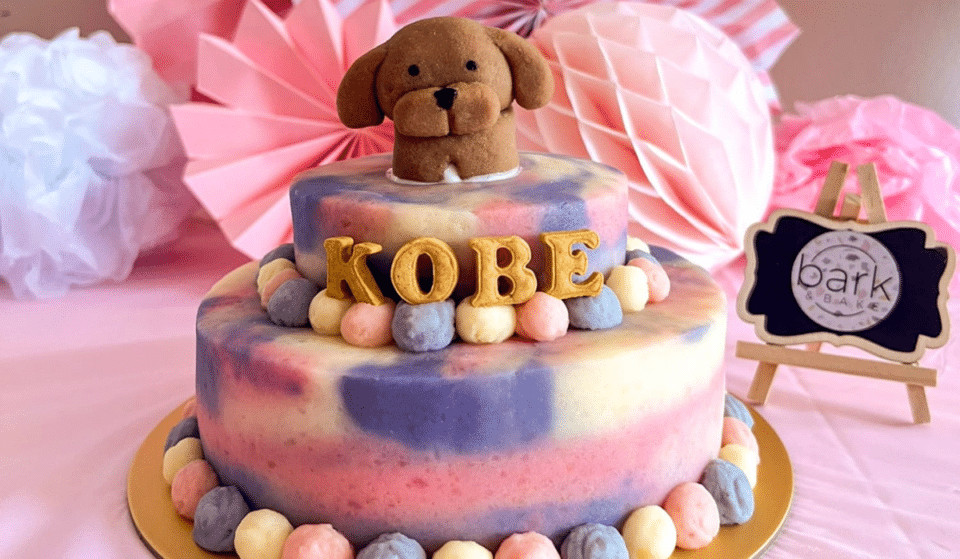 Celebrate Your Dogs Birthday With Cakes From These Singapore Pet Bakeries