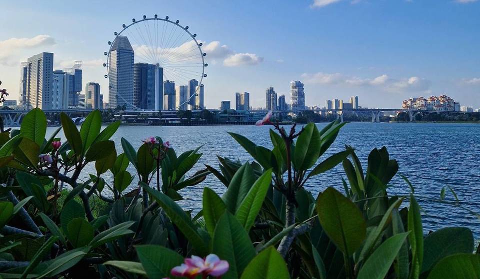 32 Fabulous Free Things To Do In Singapore This Season