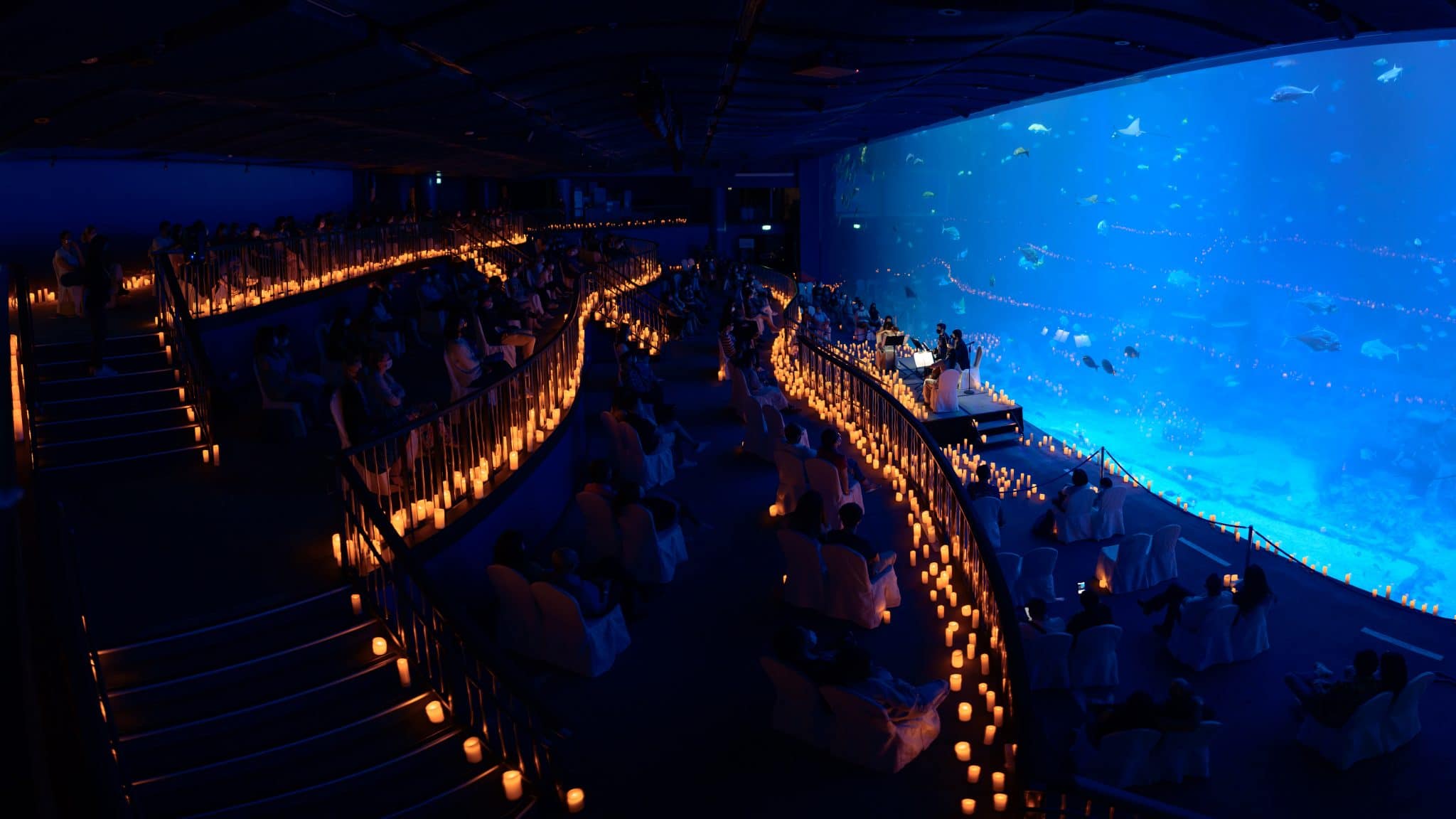 Candlelight Concerts At S.E.A. Aquarium In Singapore