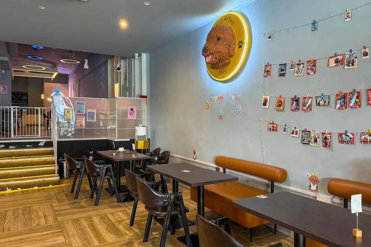 A Furry Affair Cafe Singapore pet-friendly indoor