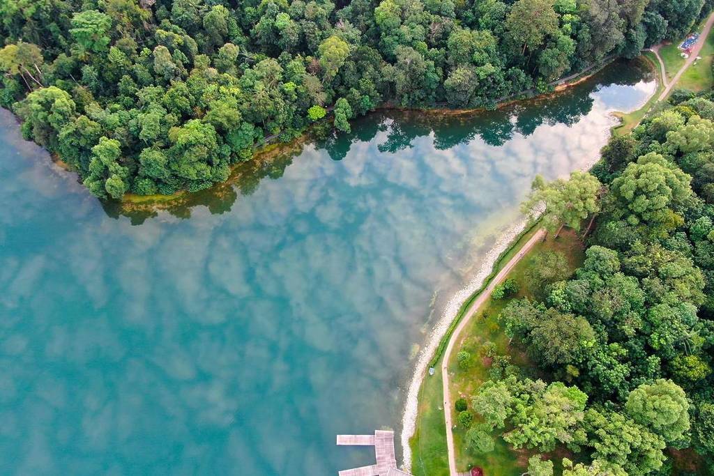 best hiking trails in Singapore hikes in Singapore