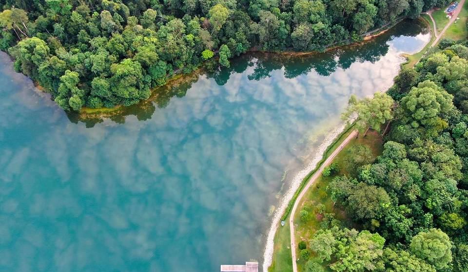 20 Thrilling Hiking Trails In Singapore To Explore This Season