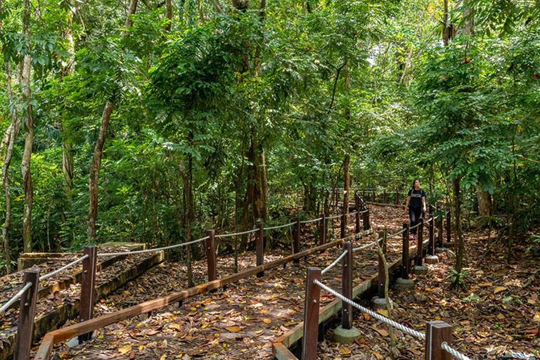 20 Best Hiking Trails In Singapore For Your Next Adventure 2025