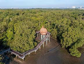 19 Scenic Hiking Trails In Singapore To Make This Season Unforgettable