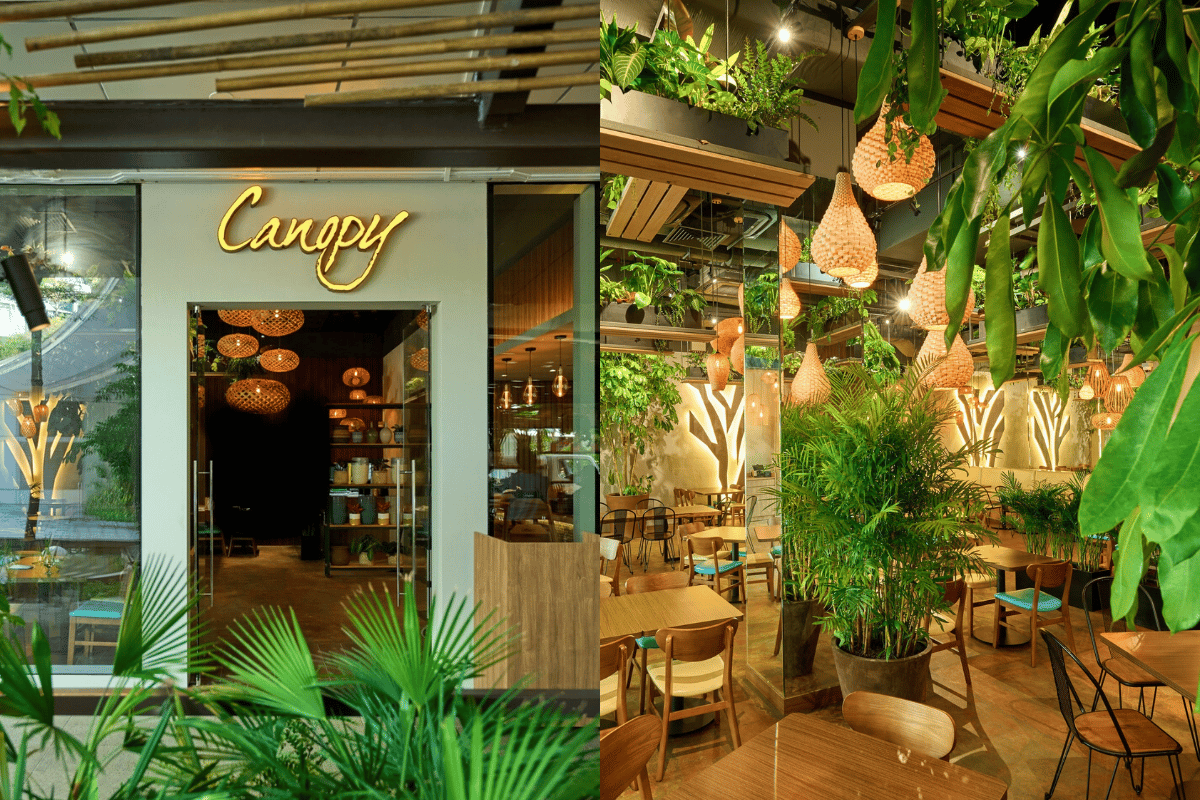 This Zen New PetFriendly Garden Cafe Is A Splendid Hideaway