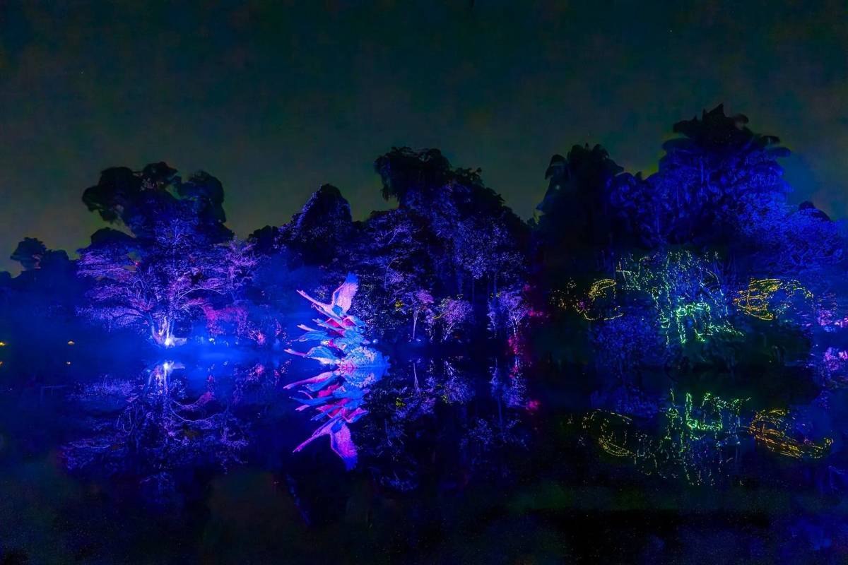 NParks Singapore Botanic Gardens first-ever light show