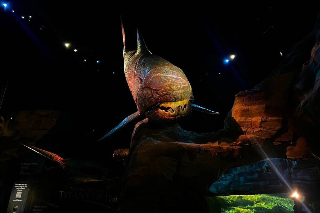 Singapore Oceanarium opens things to do weekend Sentosa