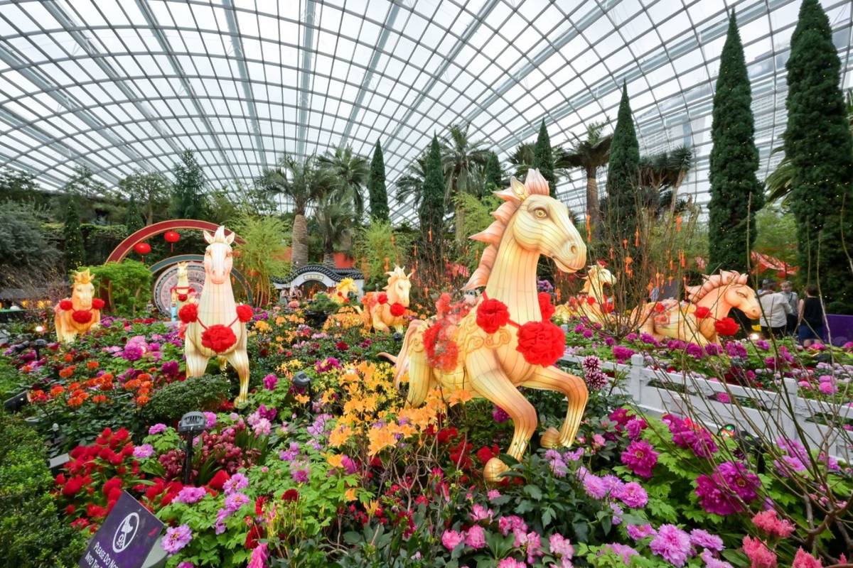 Spring Blossoms Singapore 2026 CNY 
