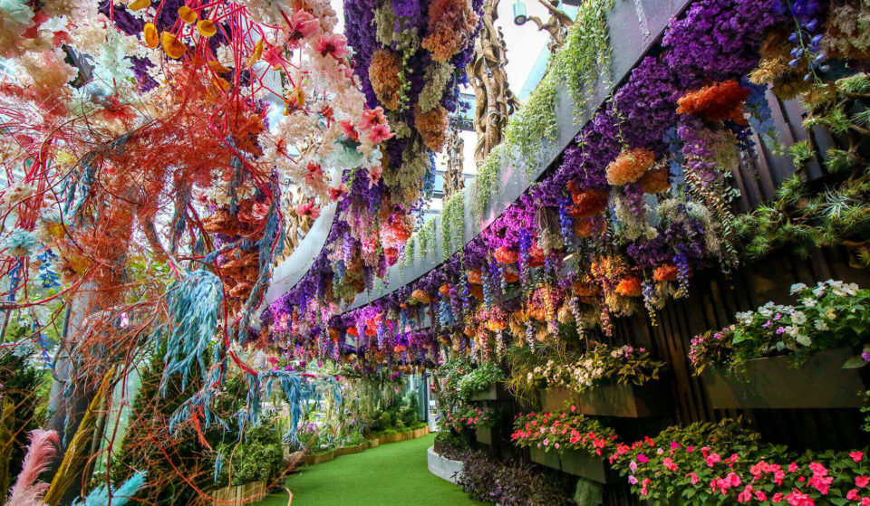 Visit This Dreamy Floral Fantasy At Gardens By The Bay