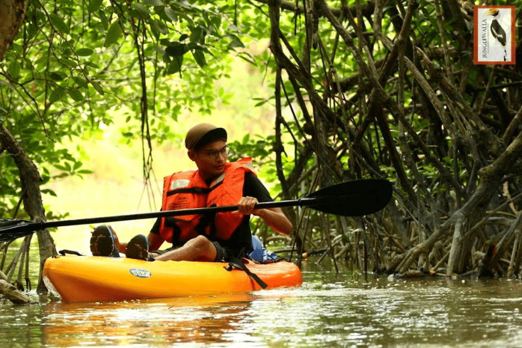 Desaru Coast River Cruise things to do