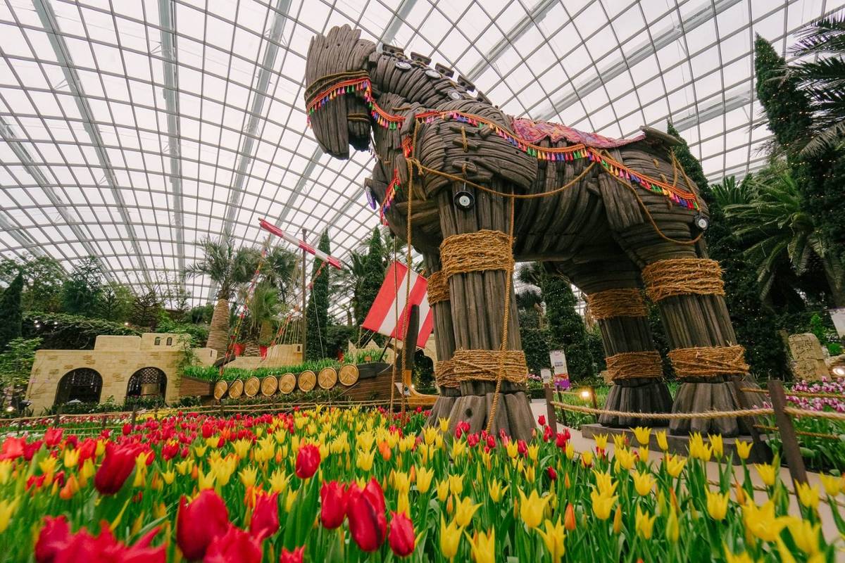 Tulipmania in Singapore May 2025 best things to do