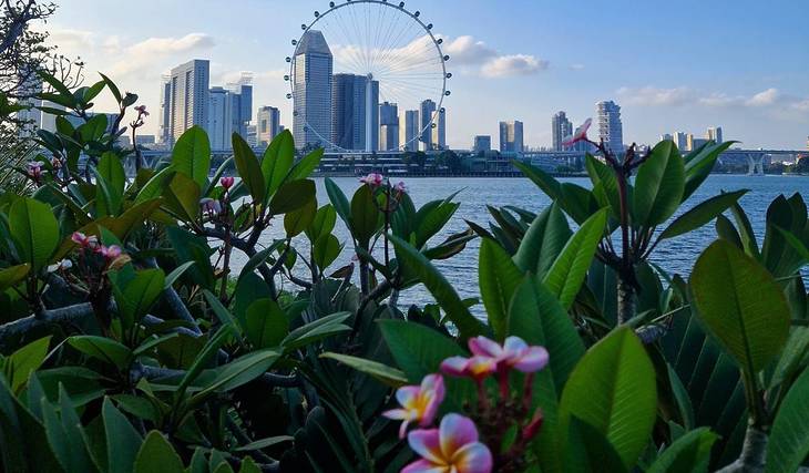 30 Marvellous Things To Do In Singapore This July 2025