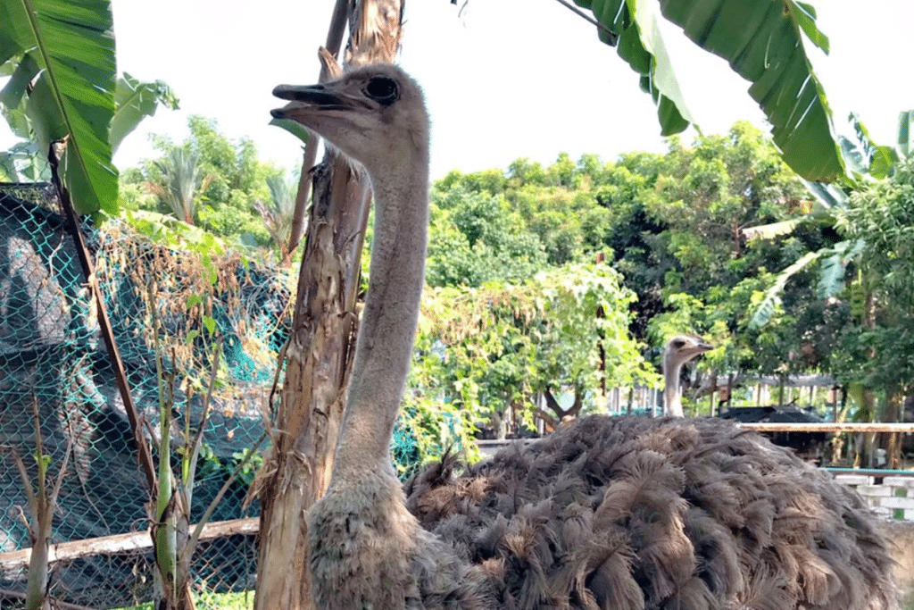 Port Dickson Is The Maldives Just 4 Hours Drive From Singapore