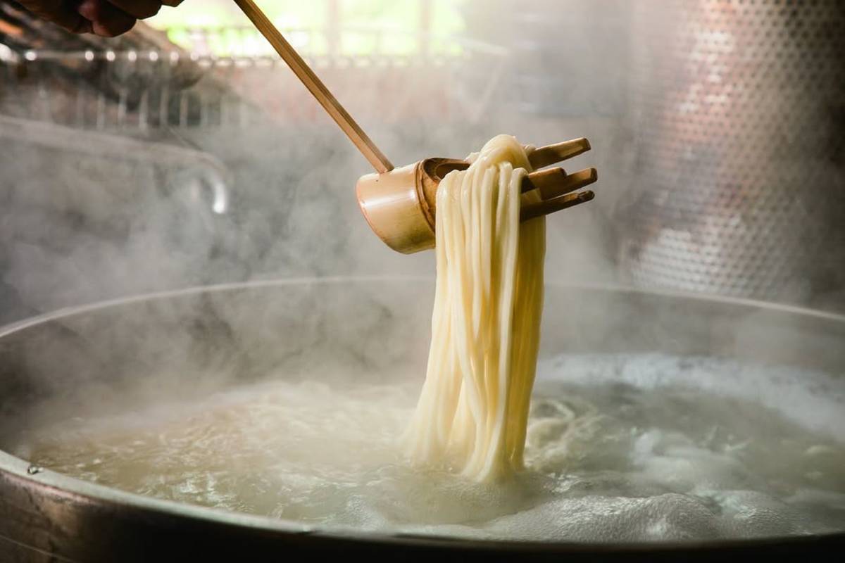 Udon Shin Singapore new restaurants November 2025