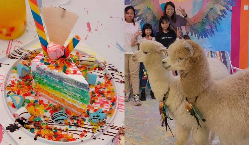 First-Ever Rainbow Alpaca Dessert Cafe Is Just 40 Minutes Drive From Singapore