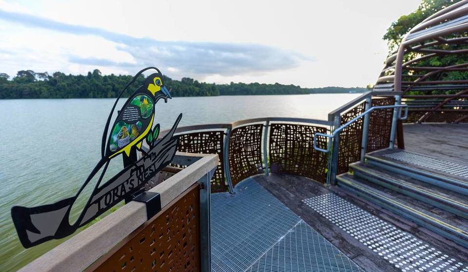 Mandai Boardwalk Opens And It’s A Free Pass To Nature’s Wonder And Wildlife