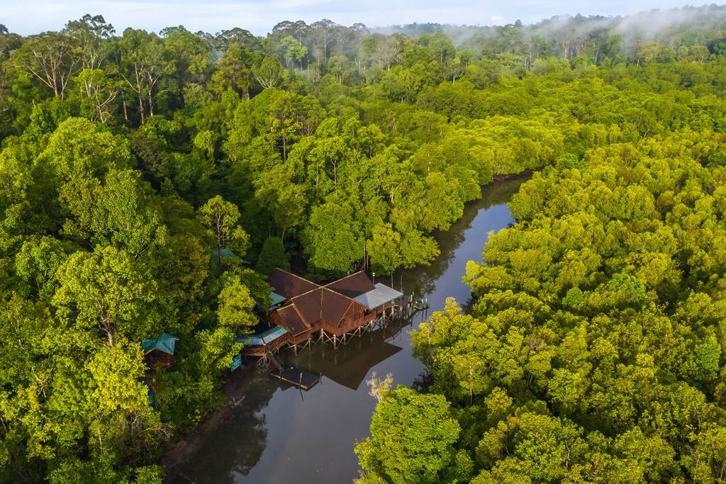 Borneo: Largest Island In Asia Just 2 Hours From Singapore