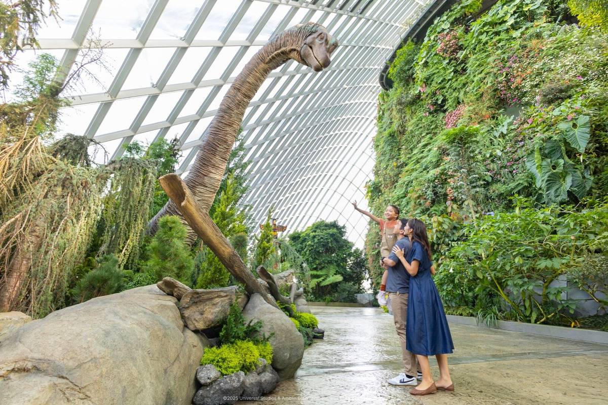 Jurassic World Evolution Walk experience Cloud Forest