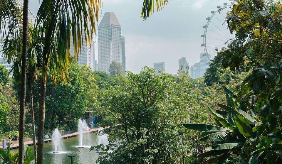 Why Singapore Has The Fewest Public Holidays In Southeast Asia—What It Means For You