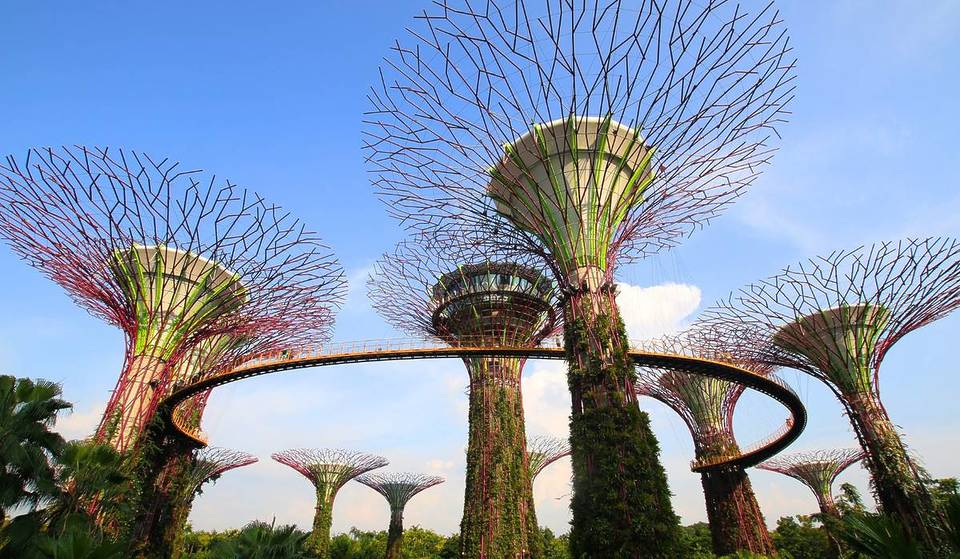 A Supertree Grove Replica Is Set To Open 4 Hours From Singapore
