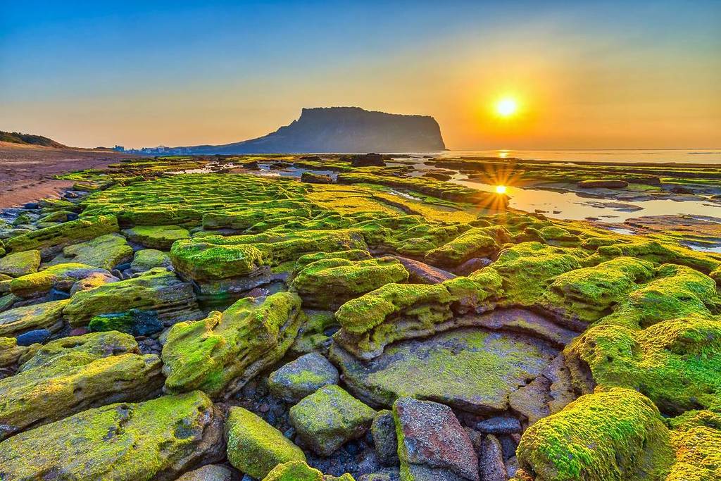 Singapore to Jeju direct flights by T'way Air from August 2025