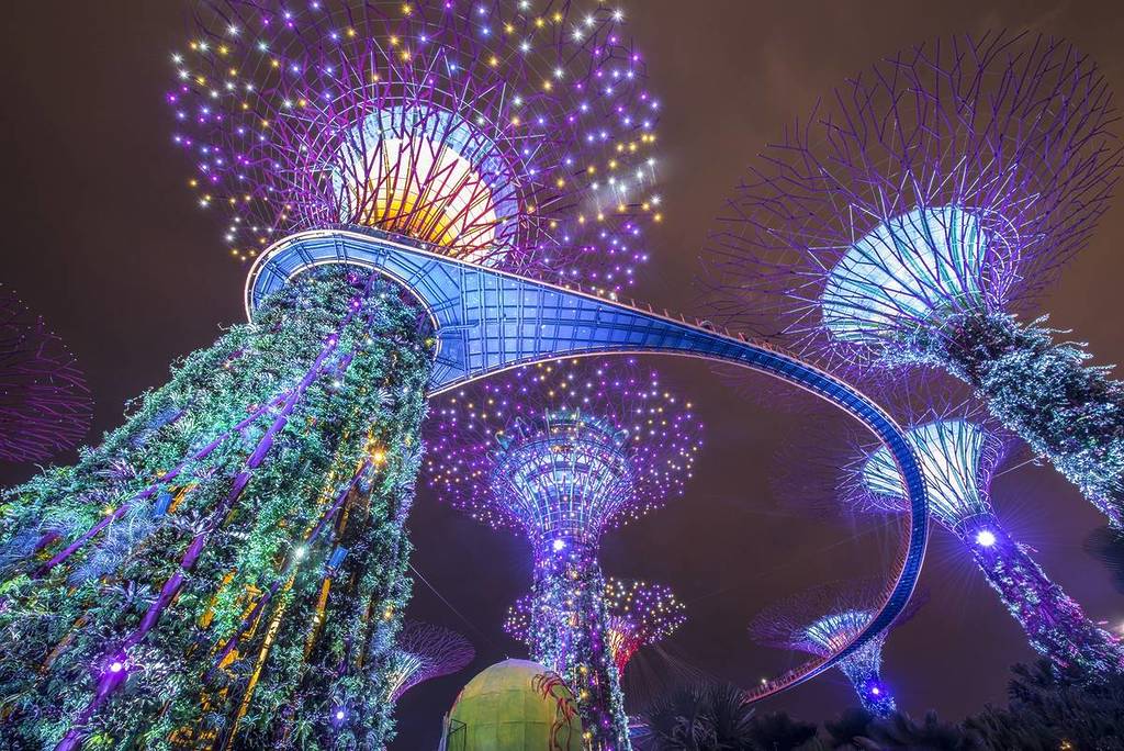 A view looking up at the illuminated structures at Gardens by the Bay in Singapore, at night.