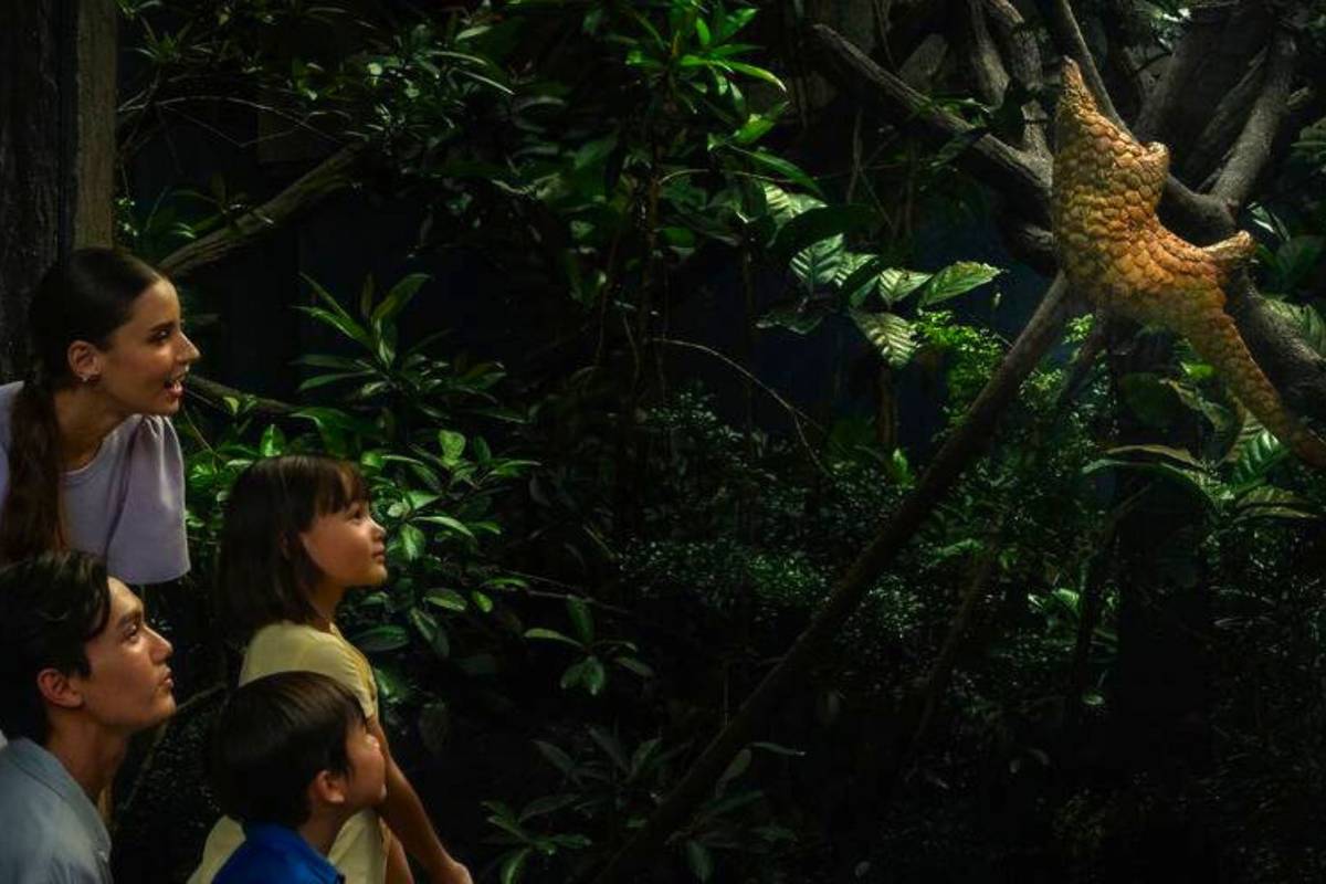 kids watching animals at world's only night zoo in Singapore