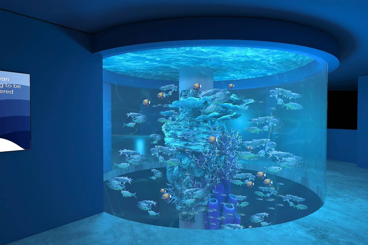 Singapore Oceanarium opens as one of the best zoos July 2025