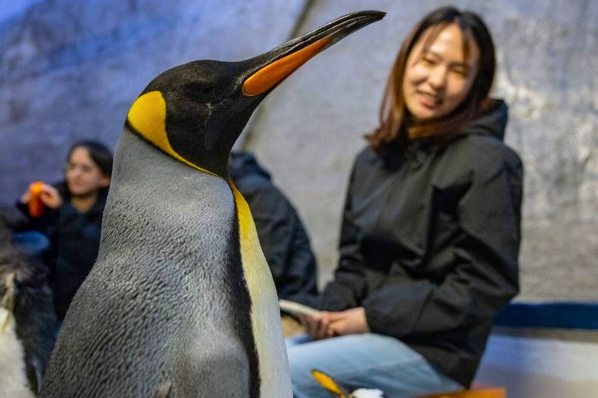 best bird parks with penguins