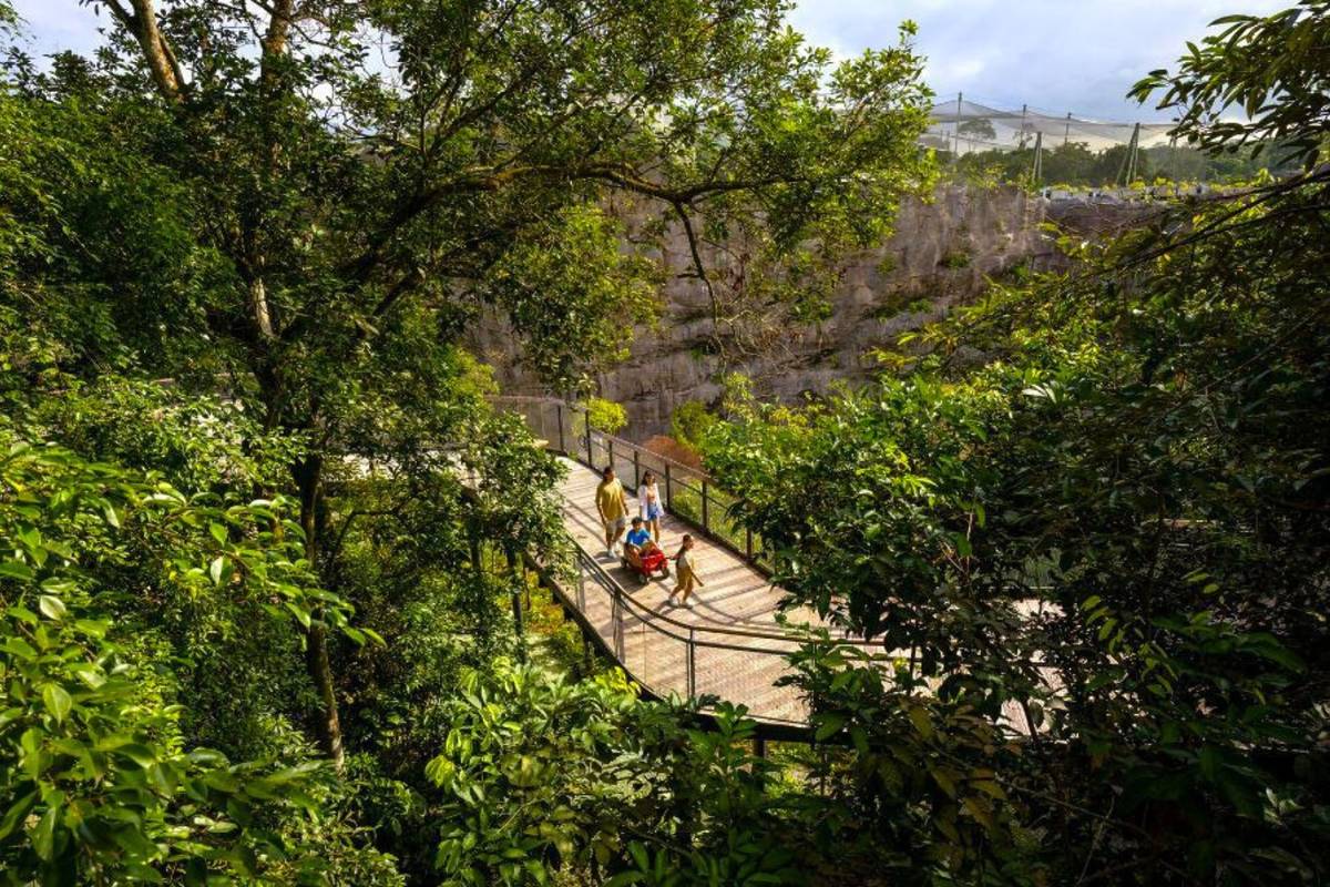 Rainforest Wild Asia Singapore animal attractions