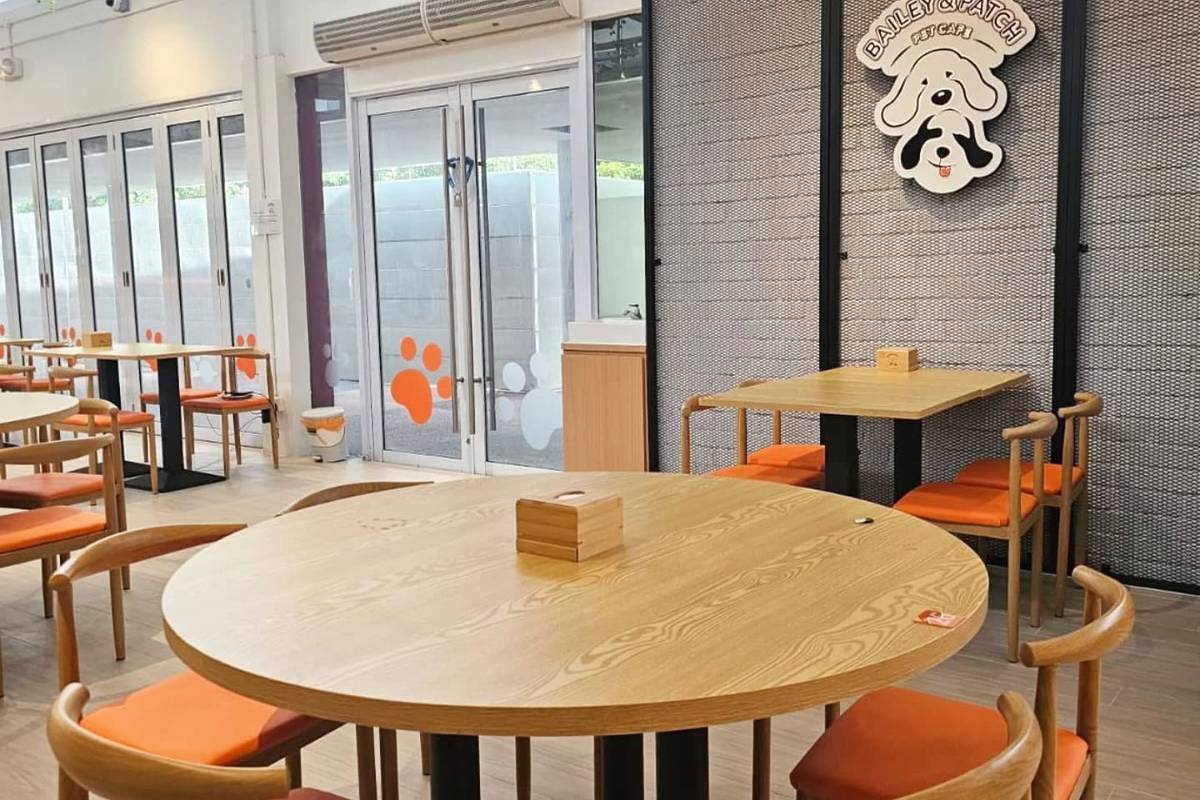 Bailey & Patch Pet Cafe CDC vouchers 2025