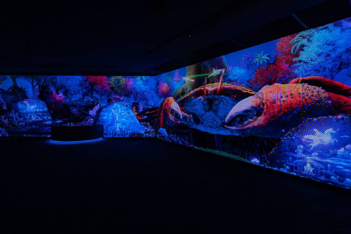 digital projections of sea creatures at Singapore Odyssea