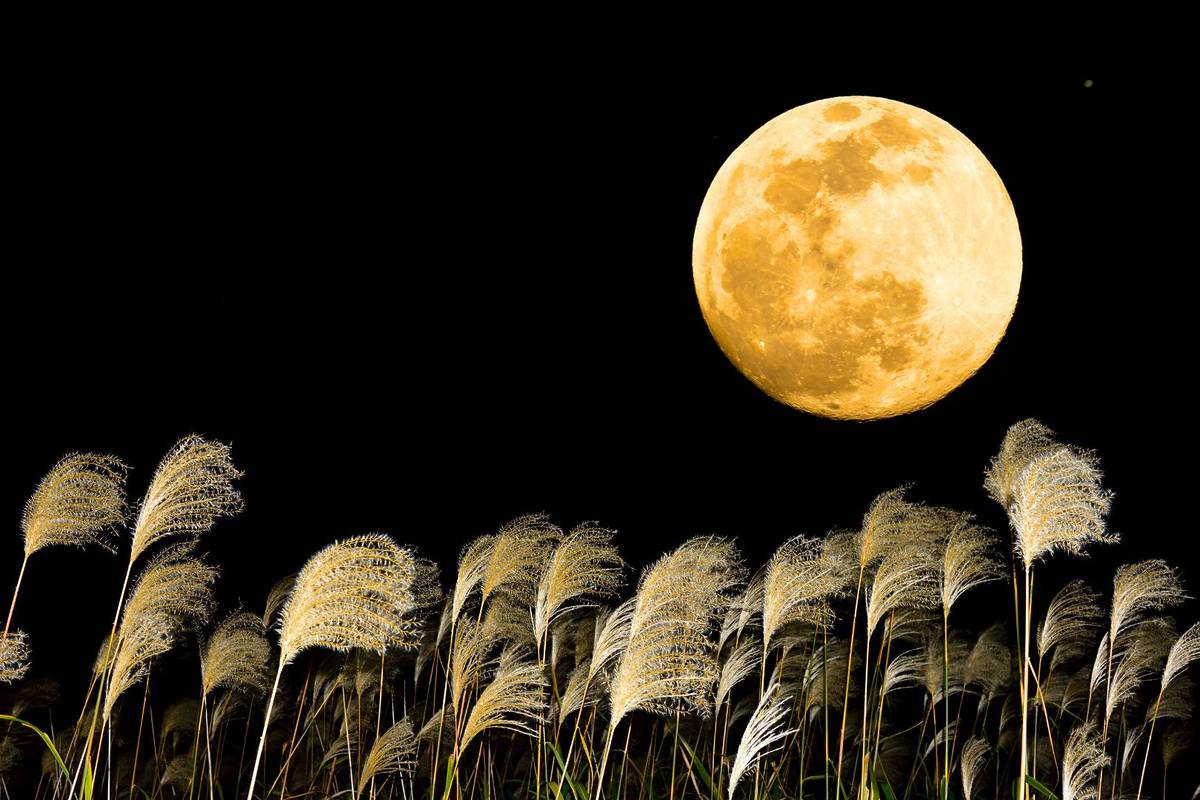 Harvest Moon in Singapore October 7, 2025 October supermoon meteor shower key details