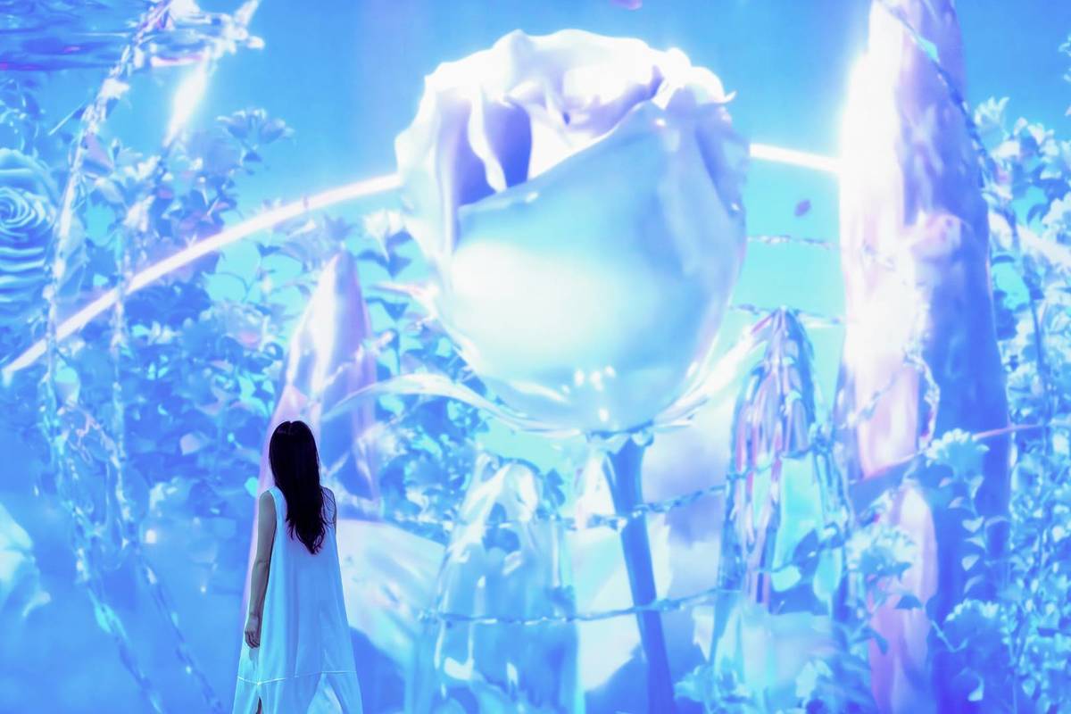 Roses blooming within a projection at Alice Into the New World at GROUNDSEESAW Singapore