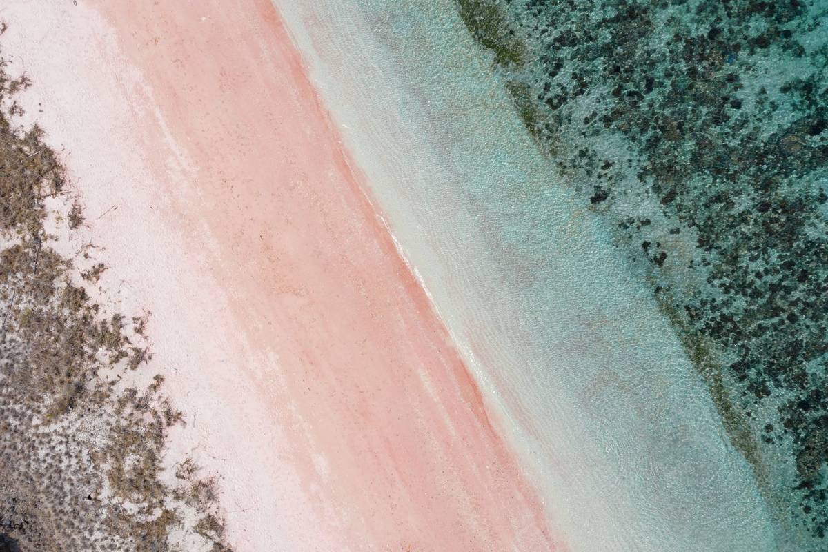 Pink Sand Beach on Komodo Island