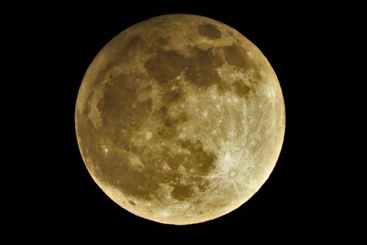 Beaver Moon Singapore November 2025 key details