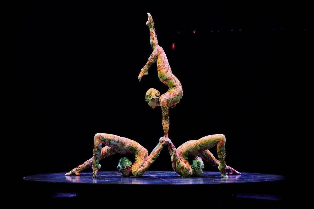 Contortion artists performing gravity-defying feats