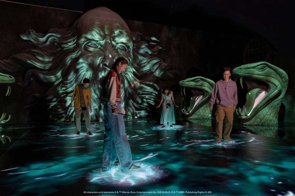 Harry Potter: Visions of Magic's Chamber of Secrets zone where shadows loom ominously