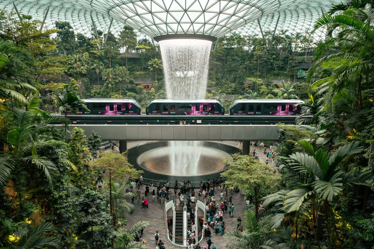 Changi Airport Blackpink skybus