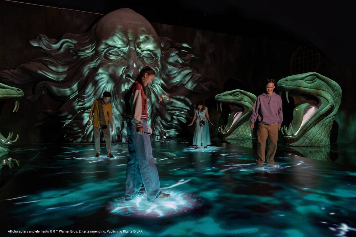Harry Potter: Visions of Magic's Chamber of Secrets zone where shadows loom ominously