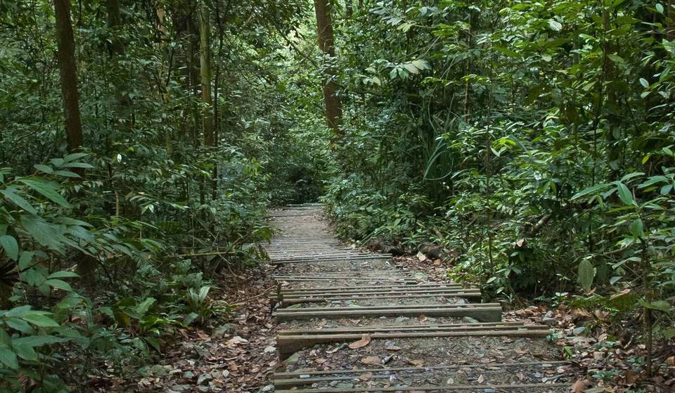 This Small Hill Is Singapore’s Most Ancient Natural Wonder Dating Back More Than 230 Million Years—Older Than Jurassic Dinosaurs