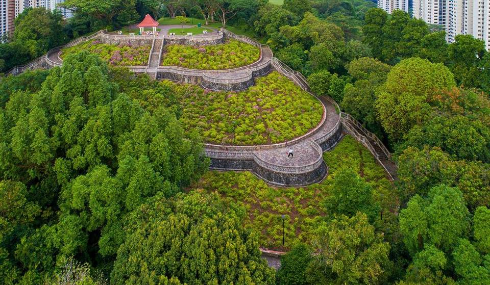 The Best Micro Experiences To Try In Singapore
