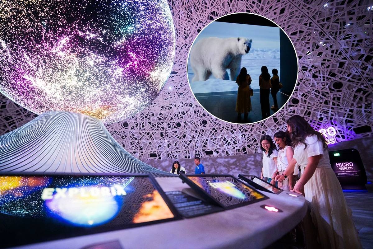 Exploria Singapore New Massive Indoor Nature Attraction At Mandai