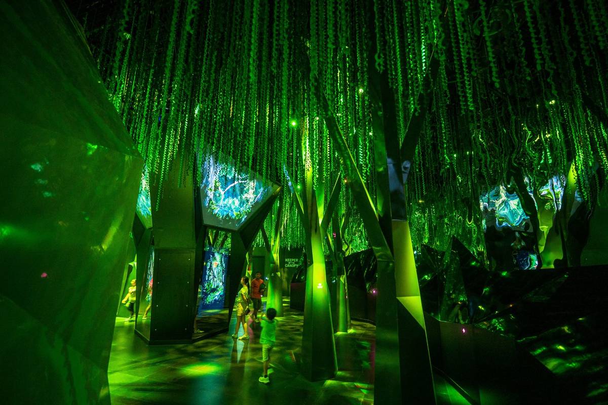 Exploria Singapore New Massive Indoor Nature Attraction At Mandai