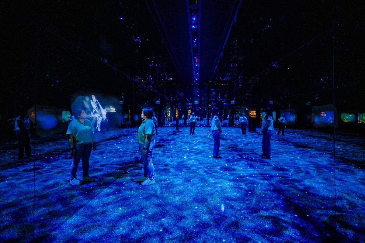 Exploria Singapore New Massive Indoor Nature Attraction At Mandai